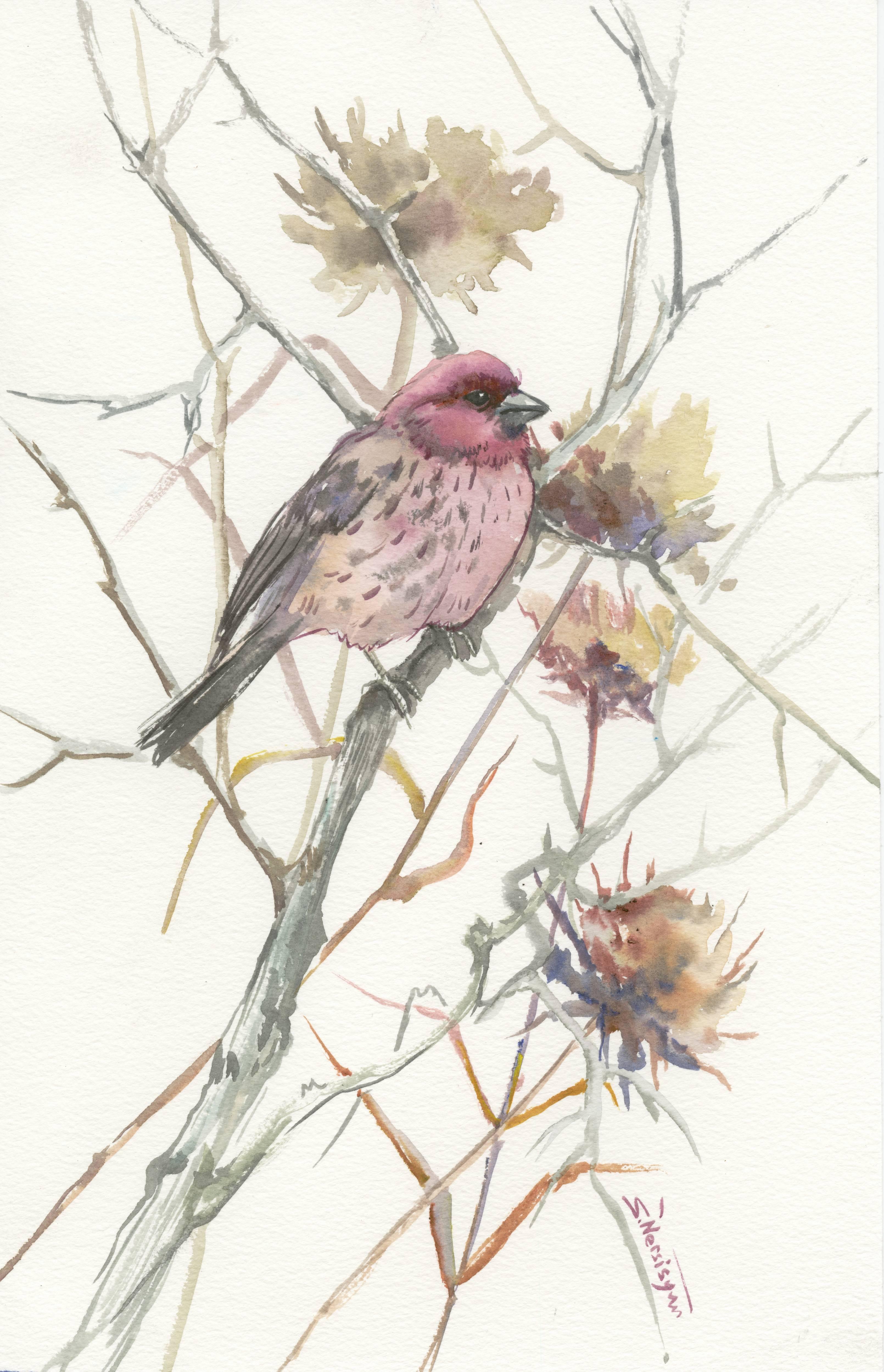 Suren Nersisyan Animal Art - House Finch in the Field (Vertical)