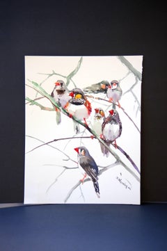 Zebra Finches (Vertical)