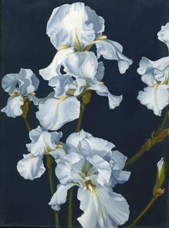 White Iris, Midnight, Painting, Oil on Wood Panel