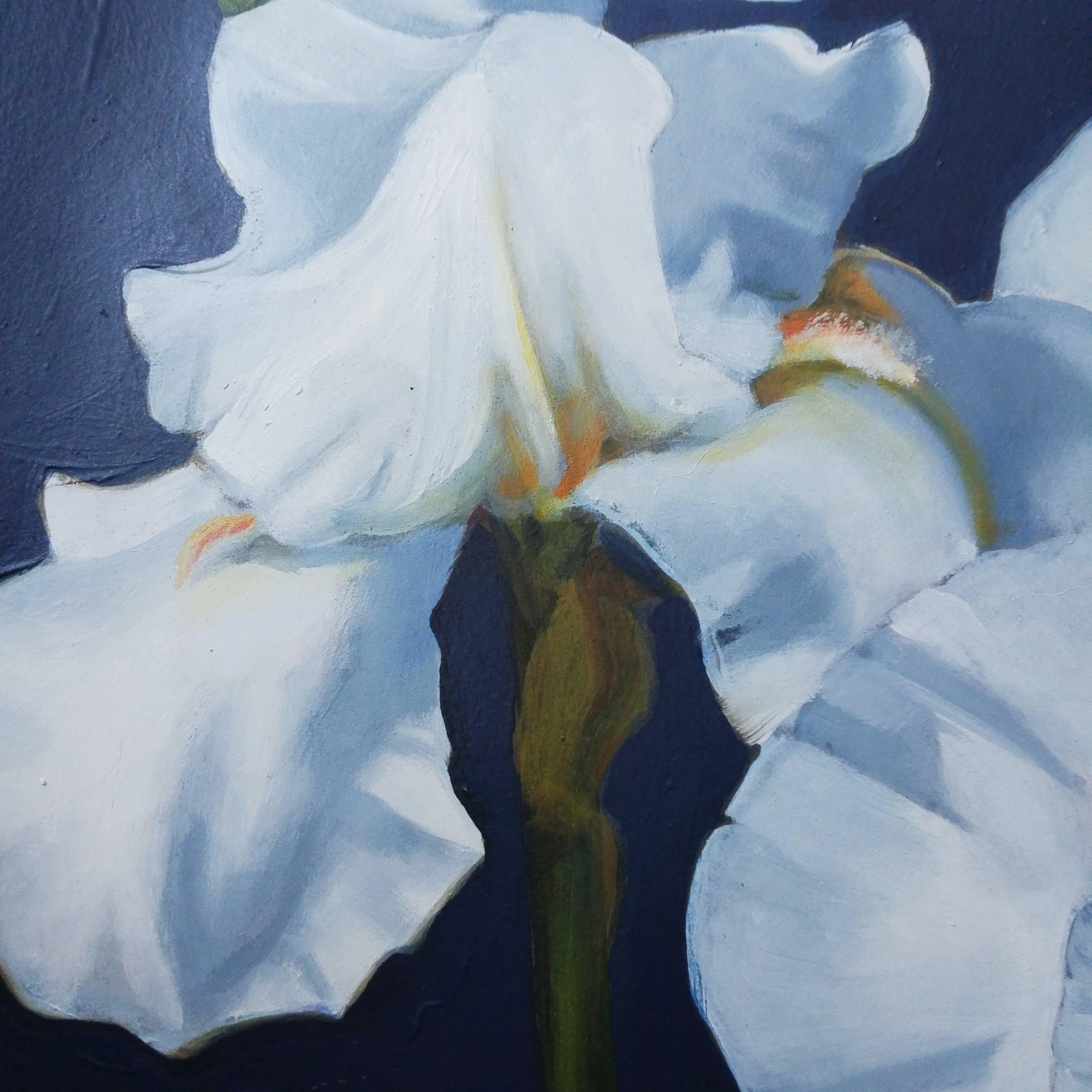 Weiße weiße Iris, Mitternacht, Gemälde, Öl auf Holzplatte (Fotorealismus), Painting, von Marie Alsbrooks