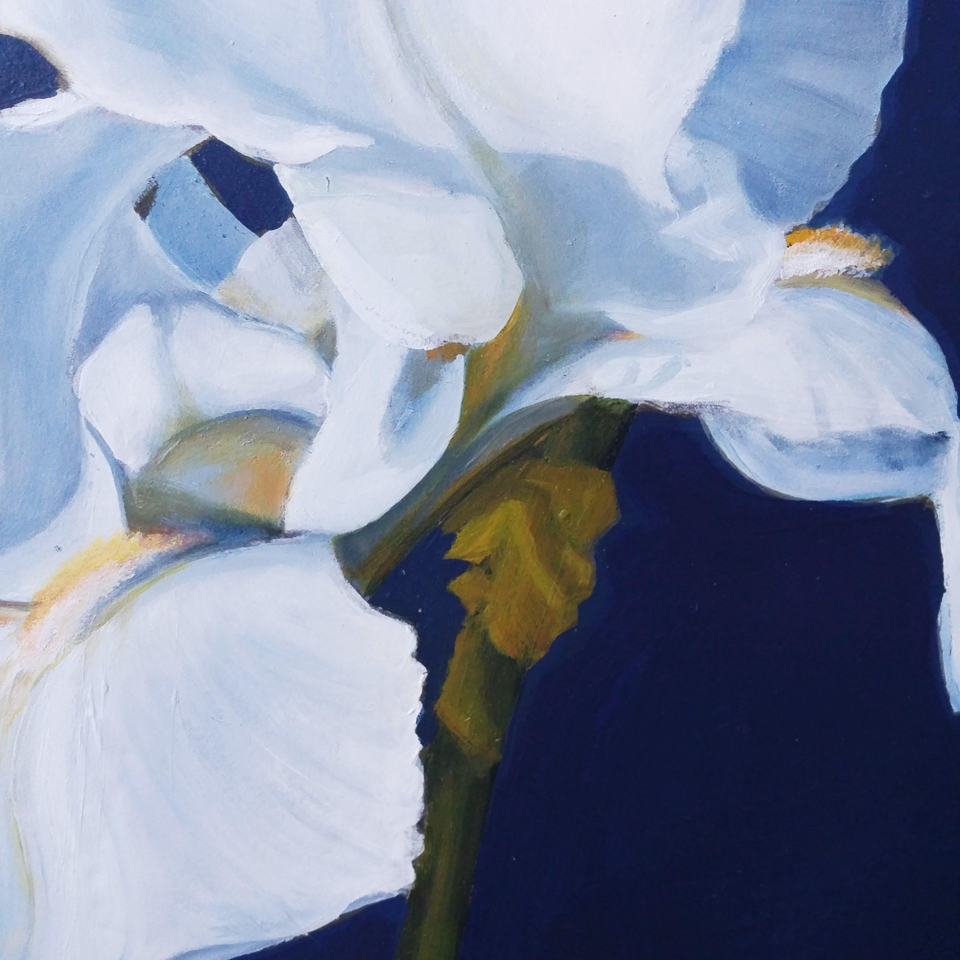 Weiße Iris, dramatisch umrahmt von einem tief mitternachtsblauen Hintergrund. Das Blau dringt durch die durchscheinenden Blütenblätter ein und erzeugt eine Reihe von helleren Blautönen. Japanischer Stil, so genannt, weil der Raum zwischen den Blumen