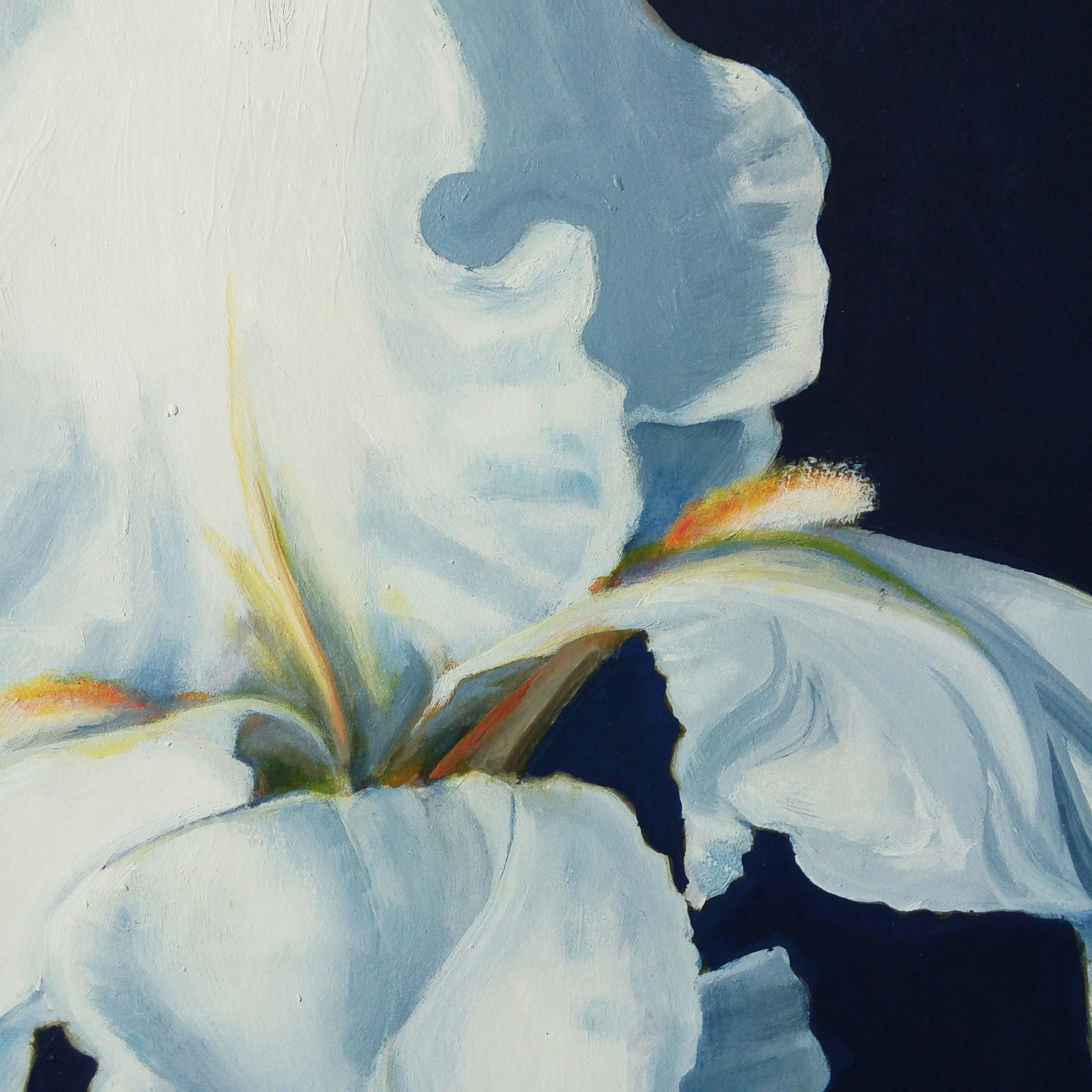 White iris dramatically framed by a deep midnight blue background. Blue filters in through the translucent petals creating a range of lighter blues. Japanese style, called so because the space between the flowers is energetic. Oil on paper,