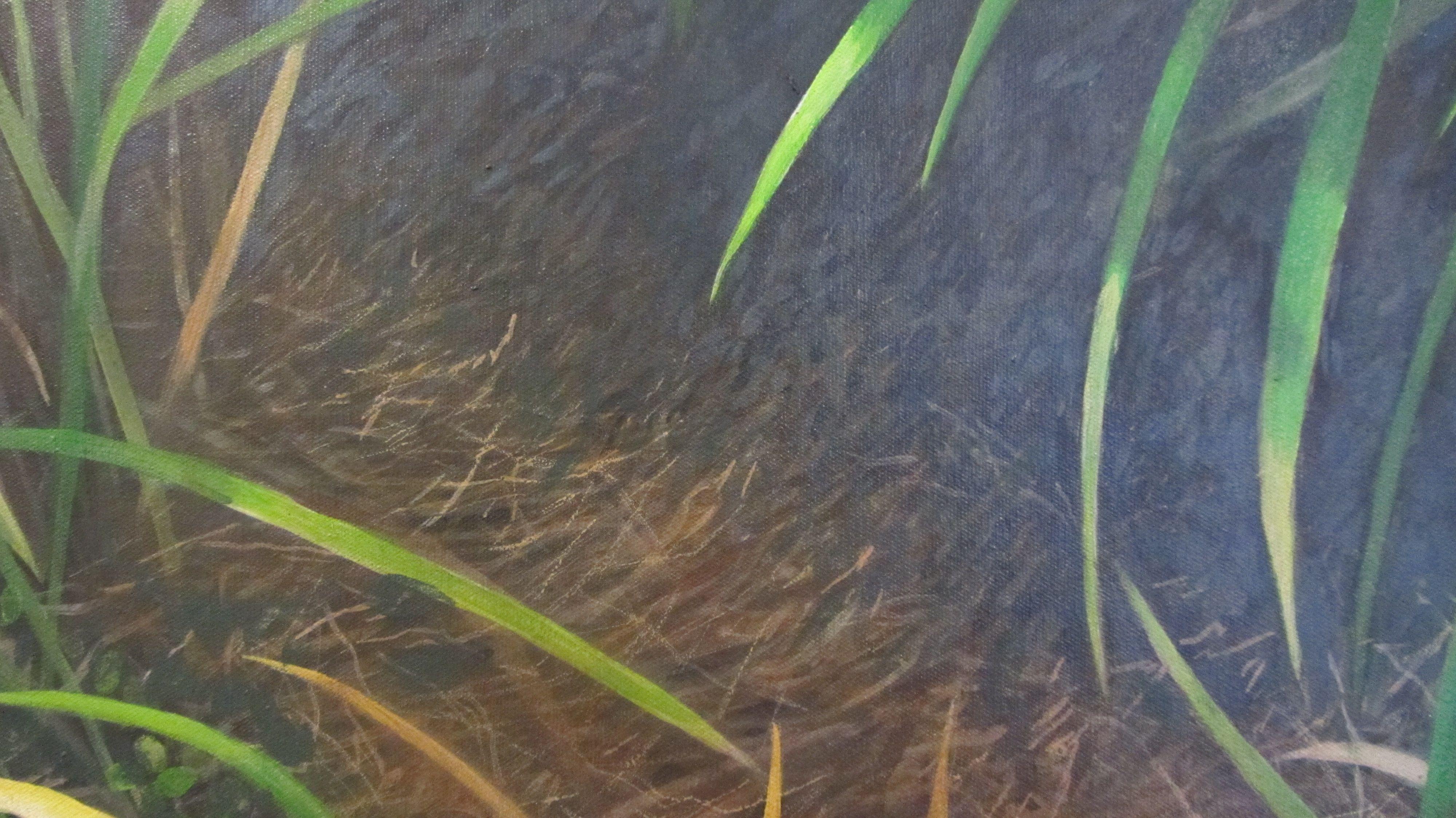 A focused view of a flooded creek in early spring  Hailey Idaho :: Painting :: Realism :: This piece comes with an official certificate of authenticity signed by the artist :: Ready to Hang: Yes :: Signed: Yes :: Signature Location: back center ::