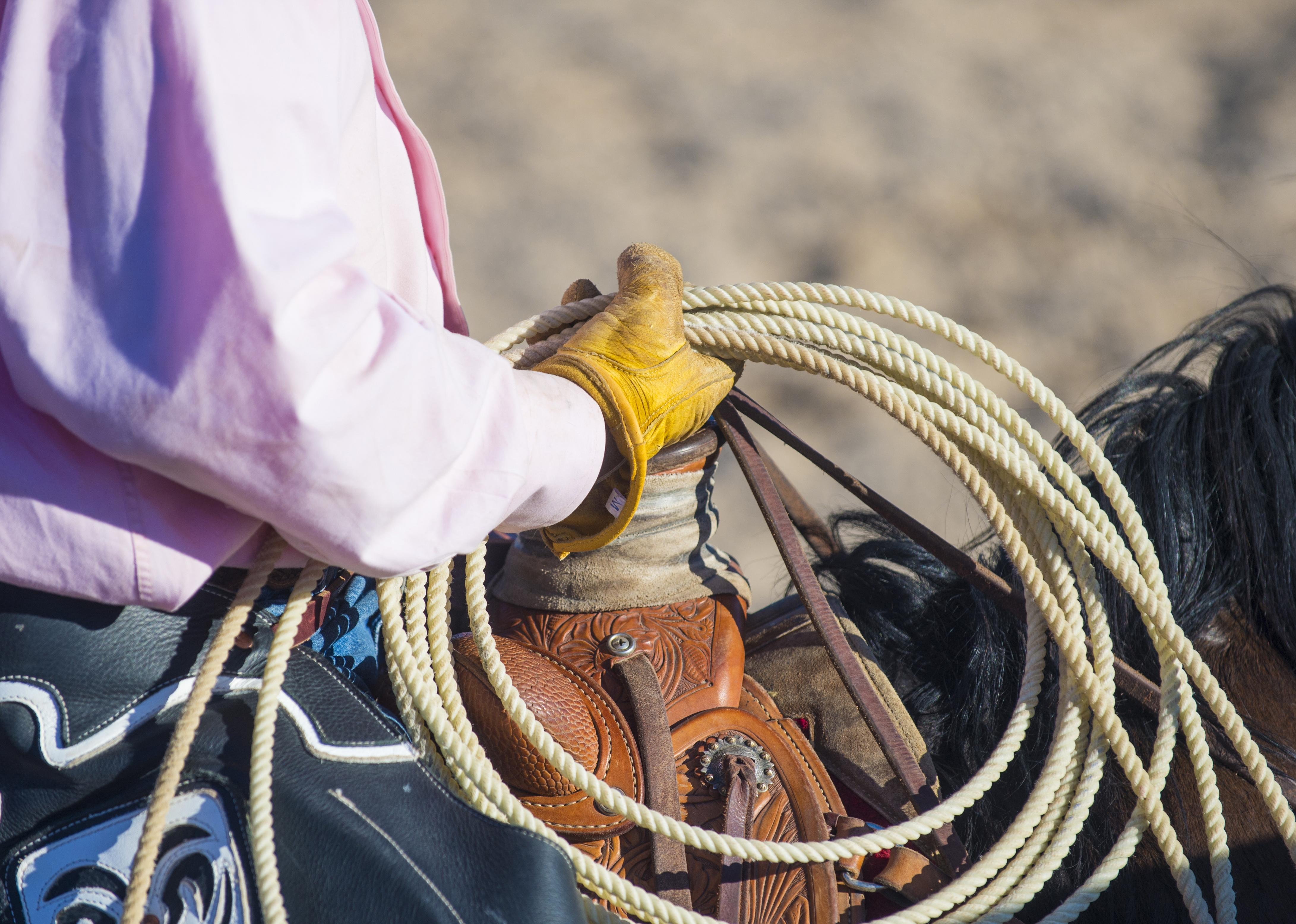 Kobby Dagan Color Photograph – Rodeo, Fotografie, C-Typ