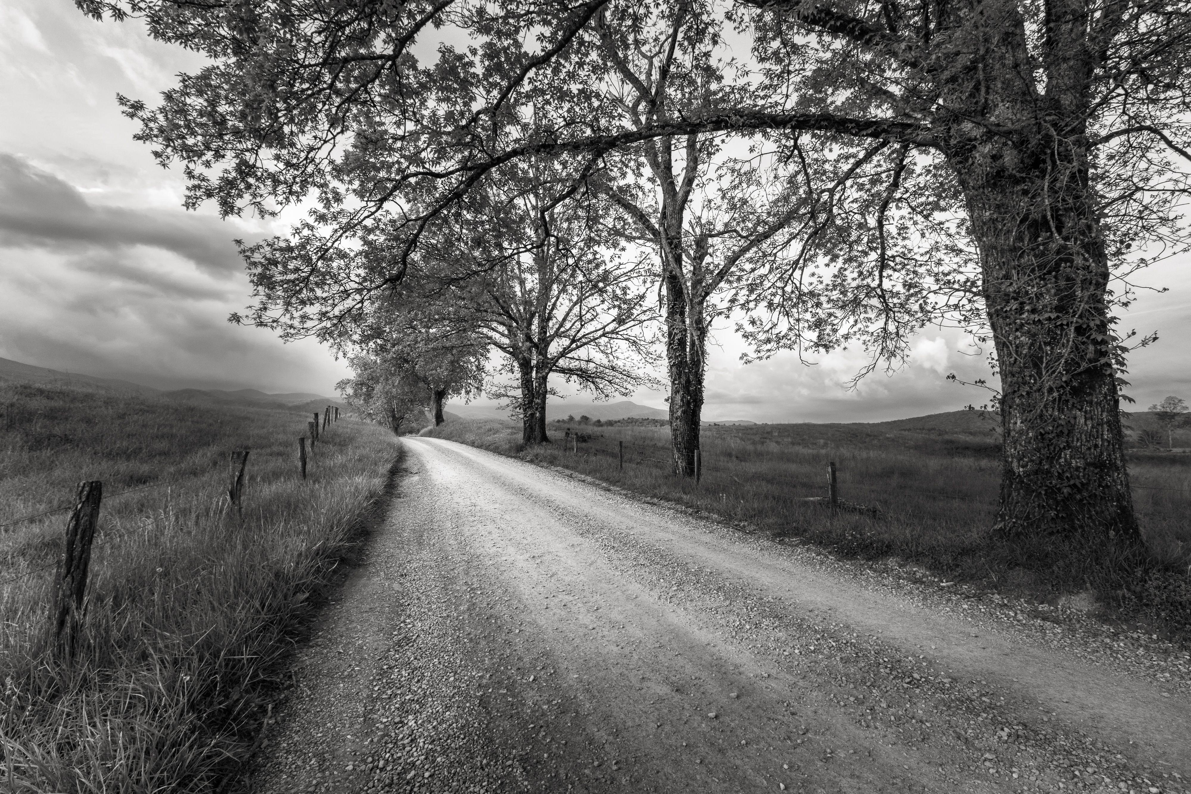 Jon Glaser Black and White Photograph – Road Not Traveled II, Fotografie, Archivtinte Jet