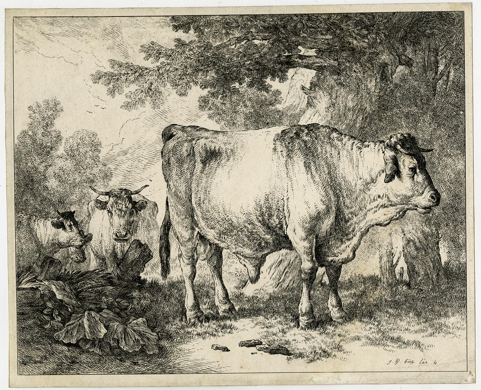 Subject:  Antique Master Print, untitled.  - Landscape with a large bull.

Description:  From a set of drawing examples, published 1798-1799.

Artists and Engravers:  Made by 'Jean Baptiste Huet' after own design. Jean Baptiste Huet (French;