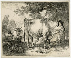 Landscape with a large bull by Jean Baptiste Huet - Etching - 18th Century
