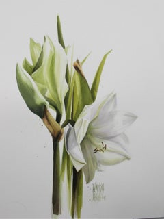 White amaryllis - XXI century, Watercolour figurative, Colourful, Flower