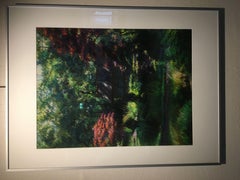 The Japanese garden 2 (2014), Drawing, Pastels on Other