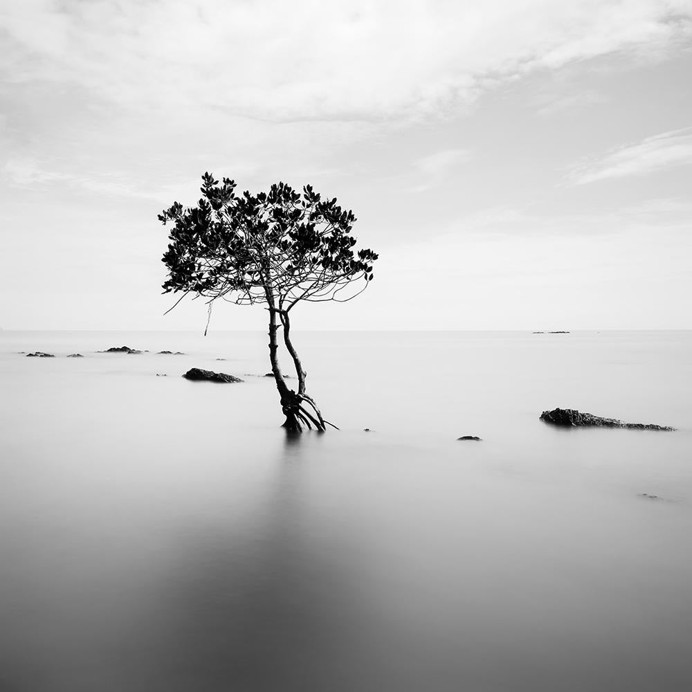 Alexandre Manuel Black and White Photograph - Landscape I, Thailand