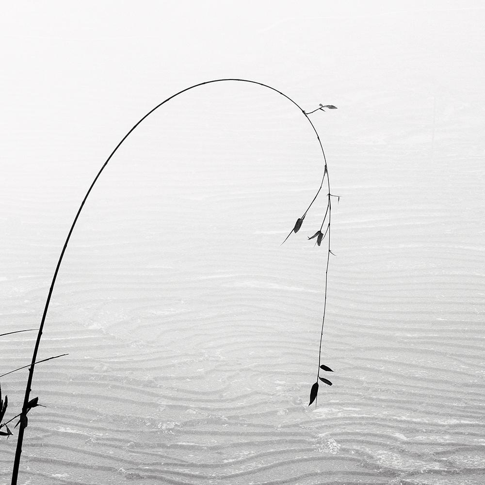 Alexandre Manuel Black and White Photograph - Landscape IV, Vietnam