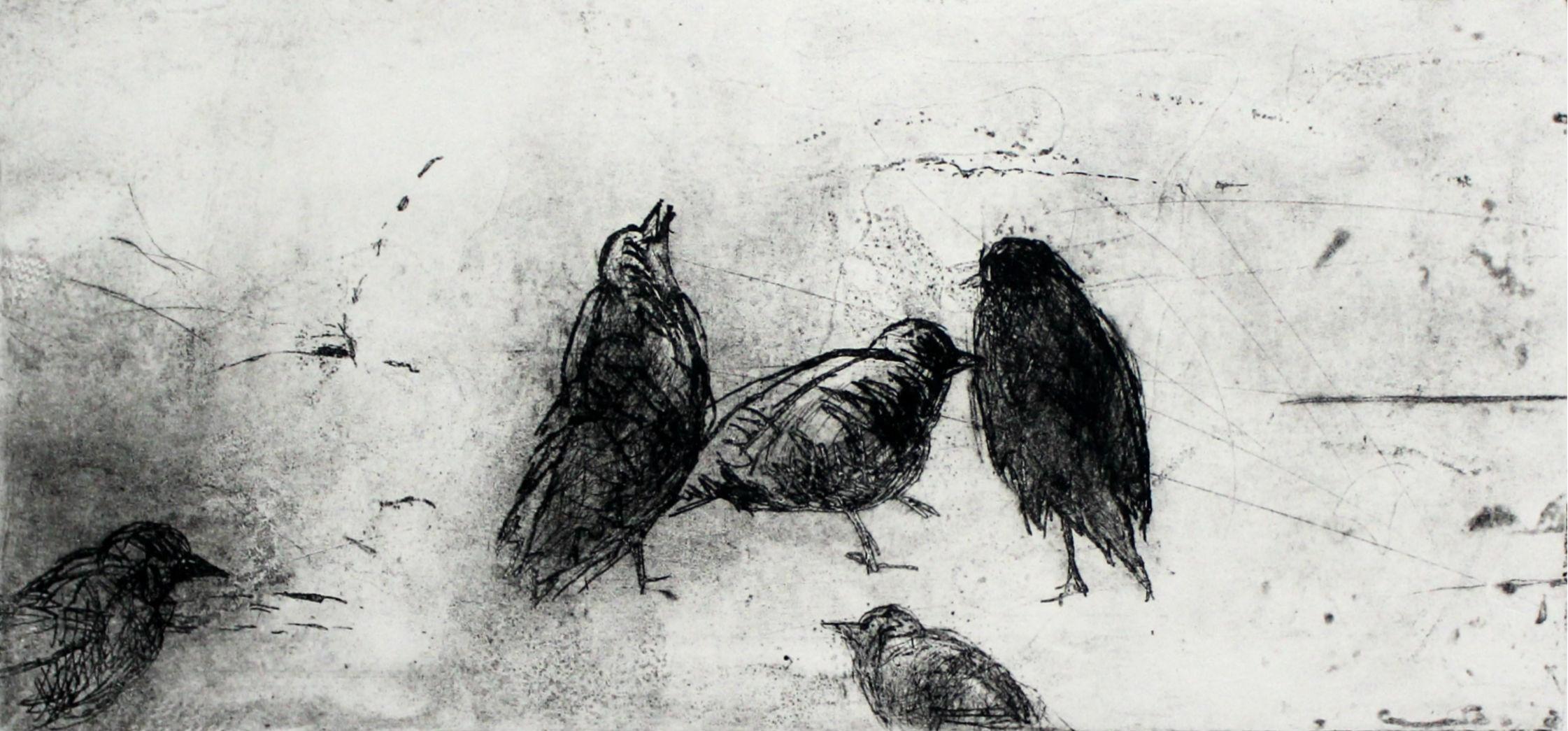 Oiseaux - XXIe siècle, imprimé figuratif, noir et blanc, animaux