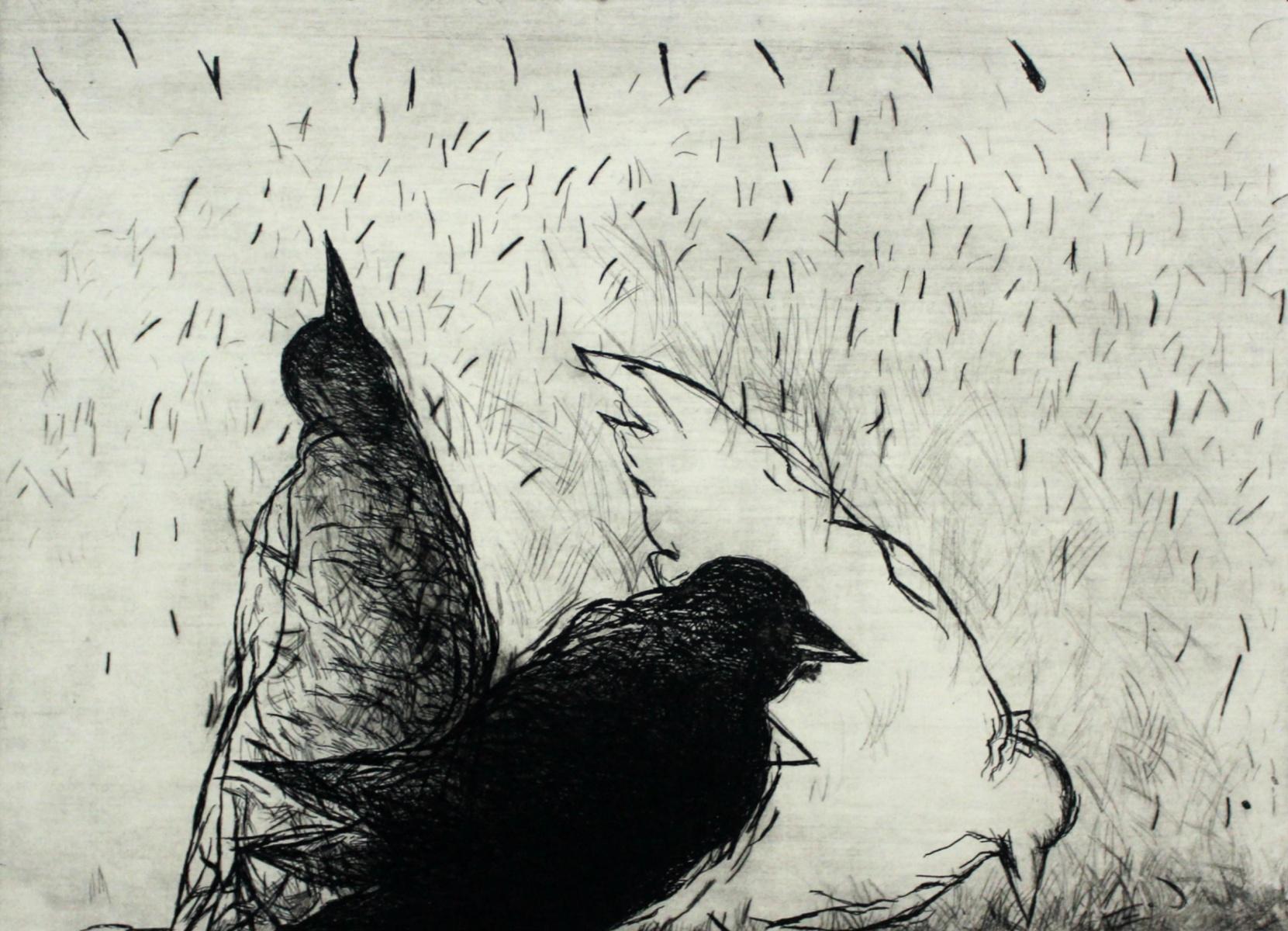 Figurative Print di Anna Mikke - Uccelli - XXI secolo, Stampa figurativa, Bianco e nero, Animali