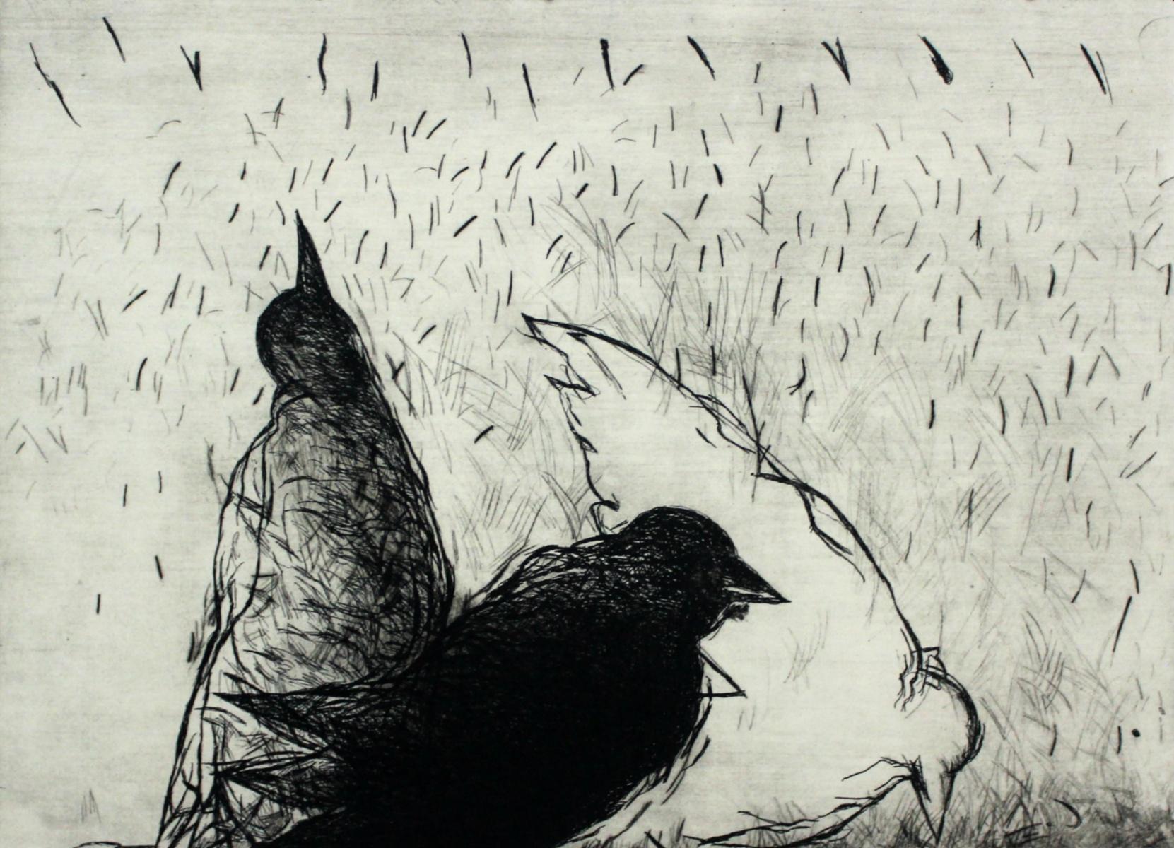 Oiseaux - XXIe siècle, imprimé figuratif, noir et blanc, animaux