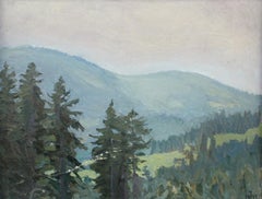 Mountain landscape - XX century, Oil painting, Landscape