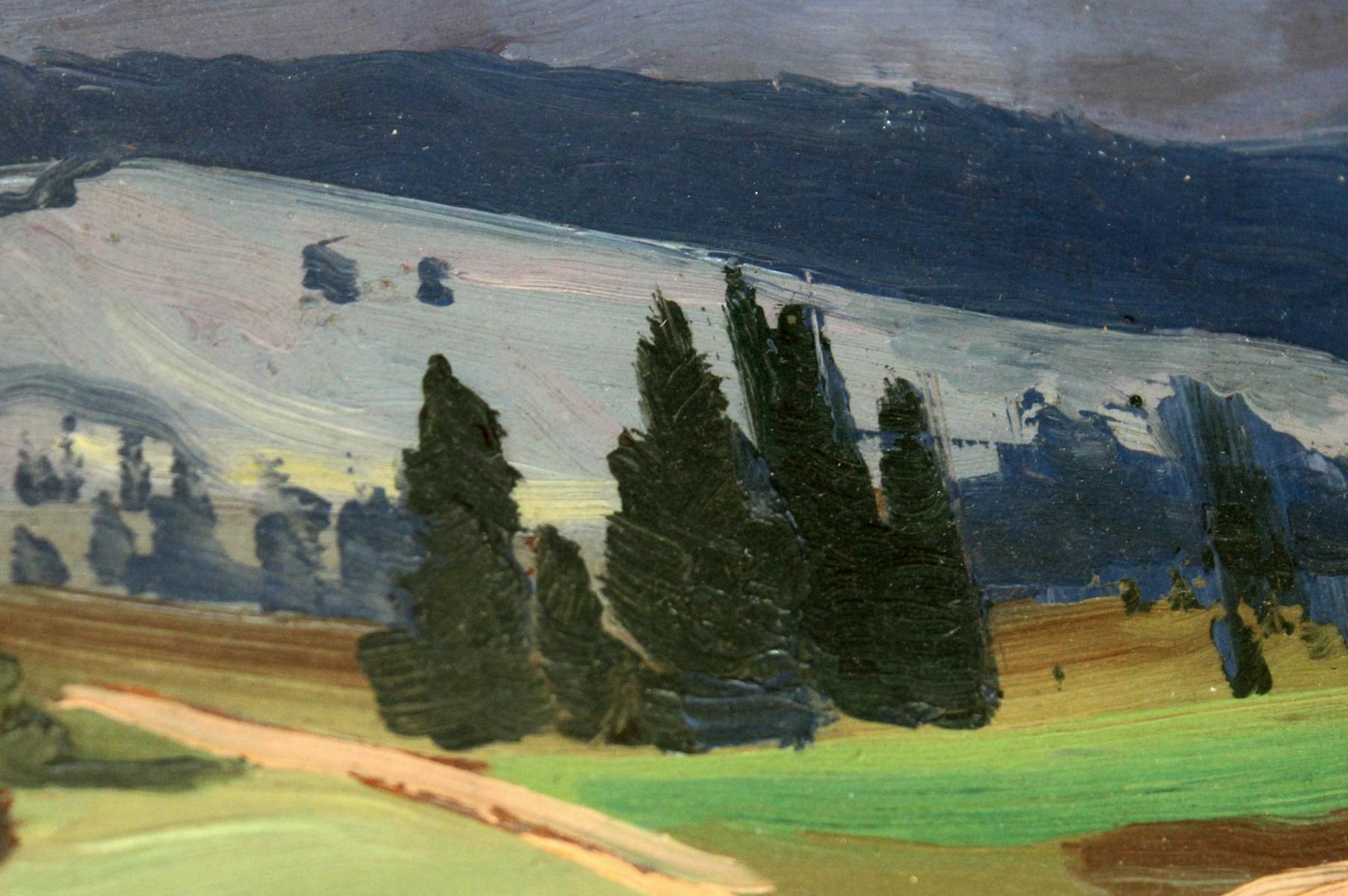 Mountain landscape - XX century, Oil painting, Landscape - Black Landscape Painting by Juliusz Mieszkowski