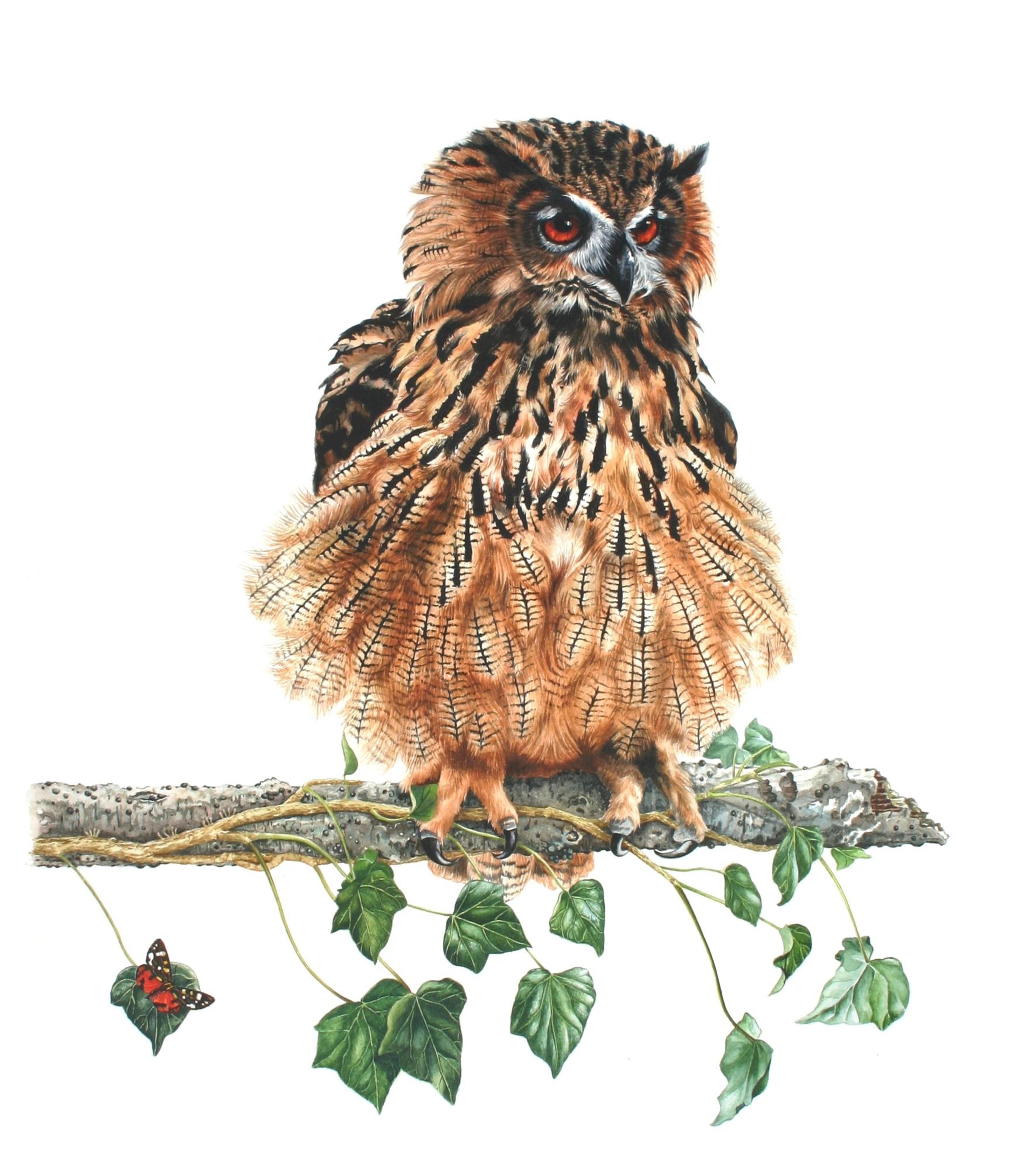 Eagle Owl, Painting, Watercolor on Paper - Art by Zoe Elizabeth Norman