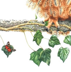 Eagle Owl, Painting, Watercolor on Paper