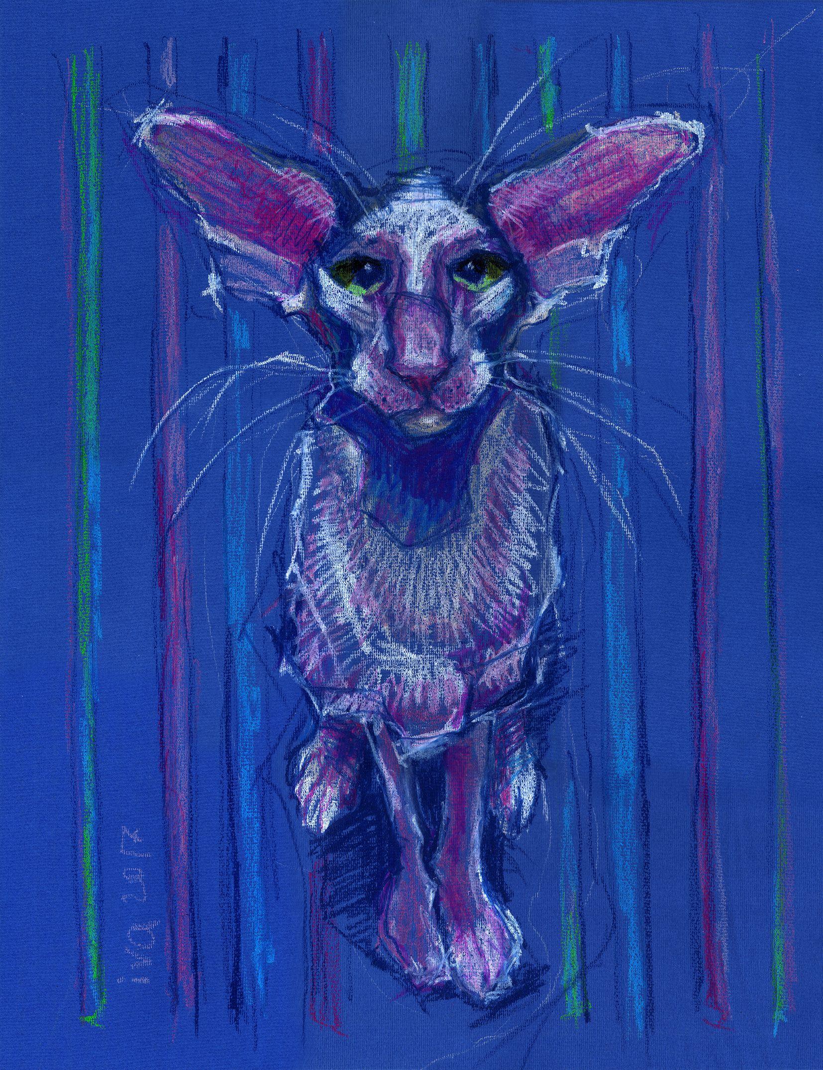 Cat, Drawing, Pastels on Paper - Art by Tatiana Ivchenkova