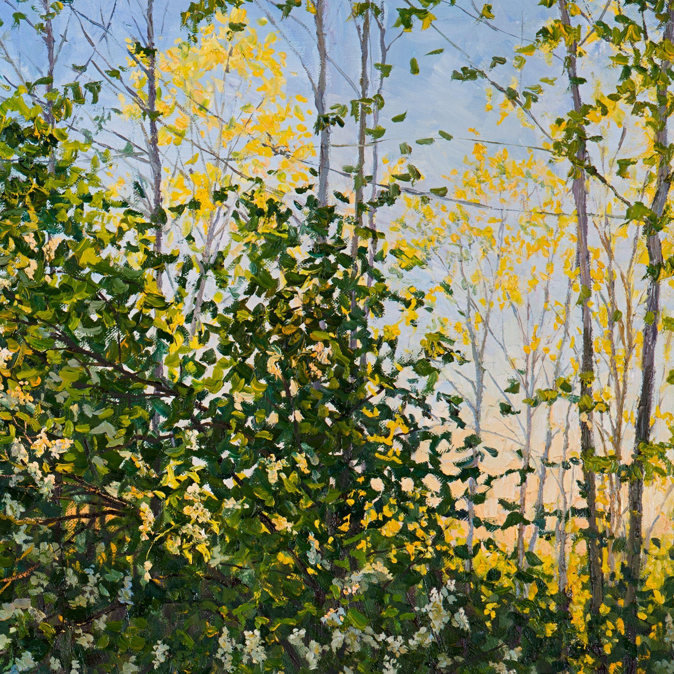 Bird cherry tree by the road, Painting, Oil on Canvas 1