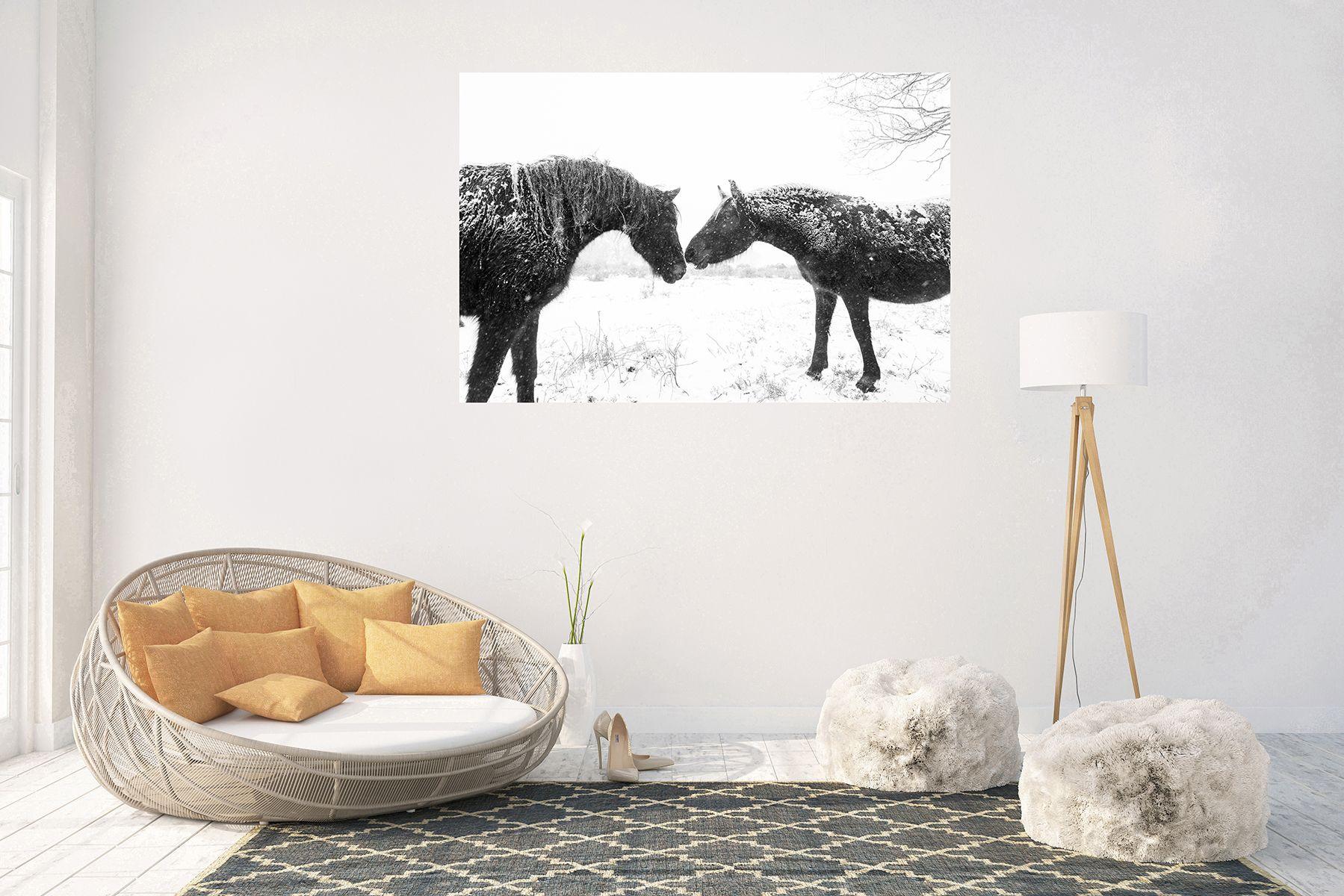 Two beautiful black coloured horses greet each other in the snow in the New Forest National Park in Dorset, UK.    Limited Edition of 30.     C-TYPE ' prints offer the most outstanding professional, silver based, archival print and the ultimate