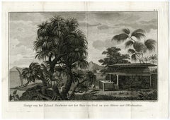 Antique View of the Island Huaheine by J.S. Klauber - Etching / engraving - 18th Century