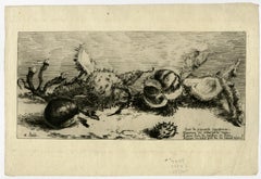 Depiction of chestnuts by Alfred Taiee - Etching - 19th Century