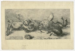Depiction of chestnuts by Alfred Taiee - Etching - 19th Century