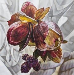 Helleborus with courtain, Painting, Oil on Wood Panel