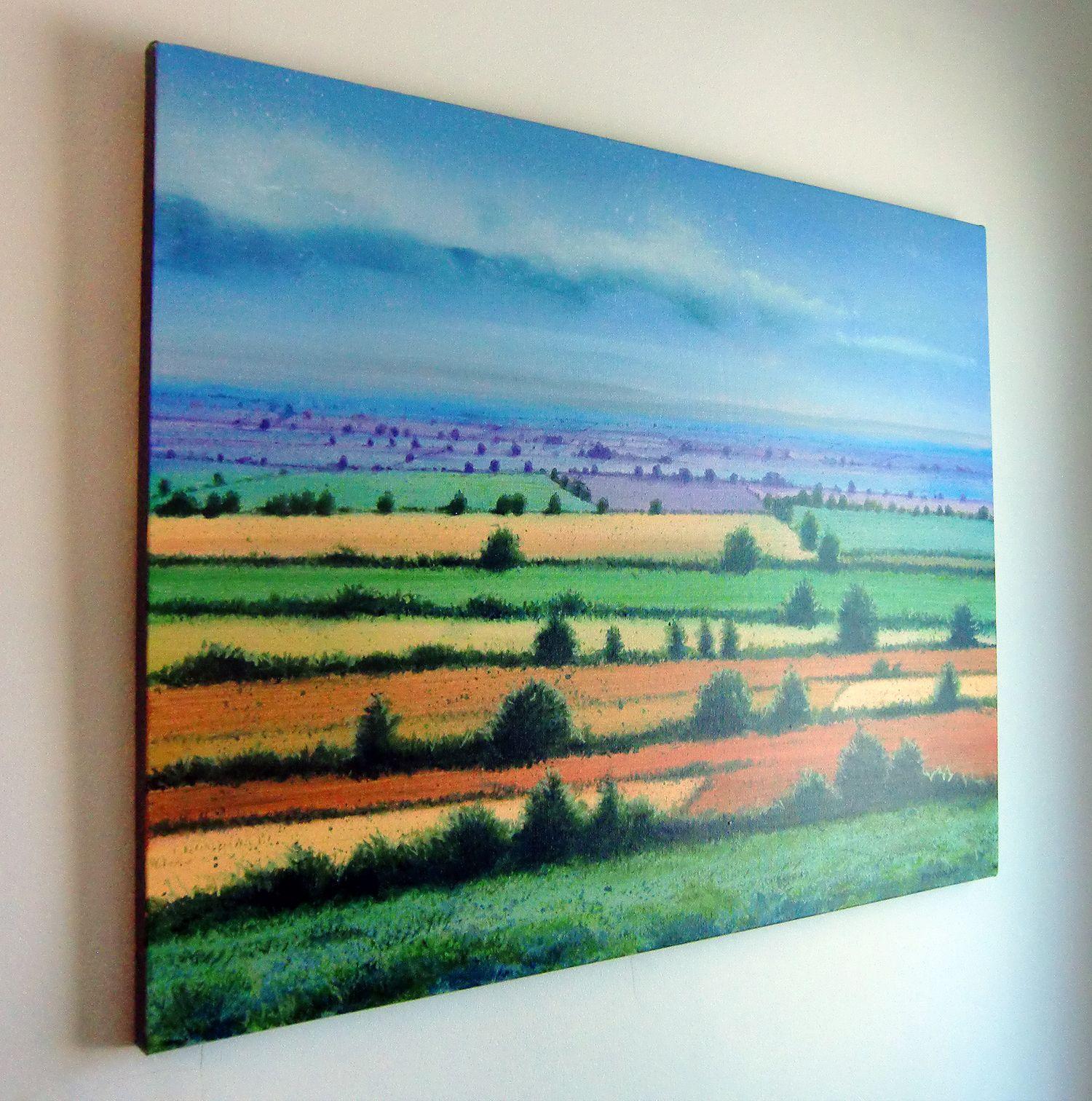 Colores del campo, Pintura, Acrílico sobre lienzo - Painting Contemporáneo de Ray Brandolino