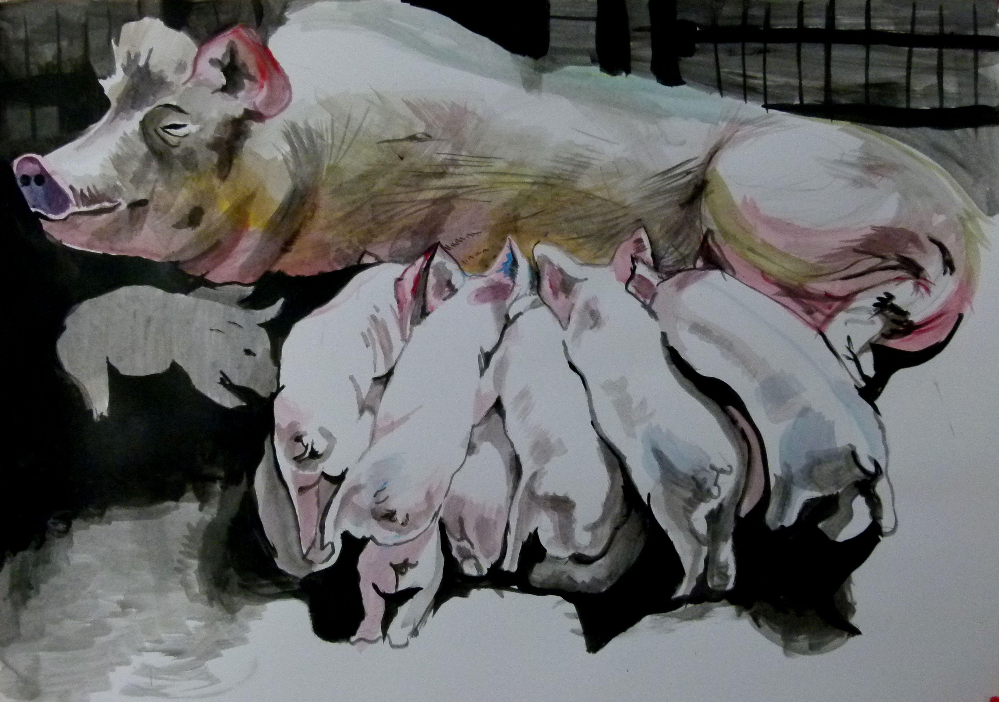 Soso Kumsiashvili - pigs, Painting, Acrylic on Paper For Sale at 1stDibs