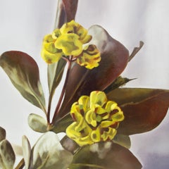 Berberis with plastic, Painting, Oil on Wood Panel