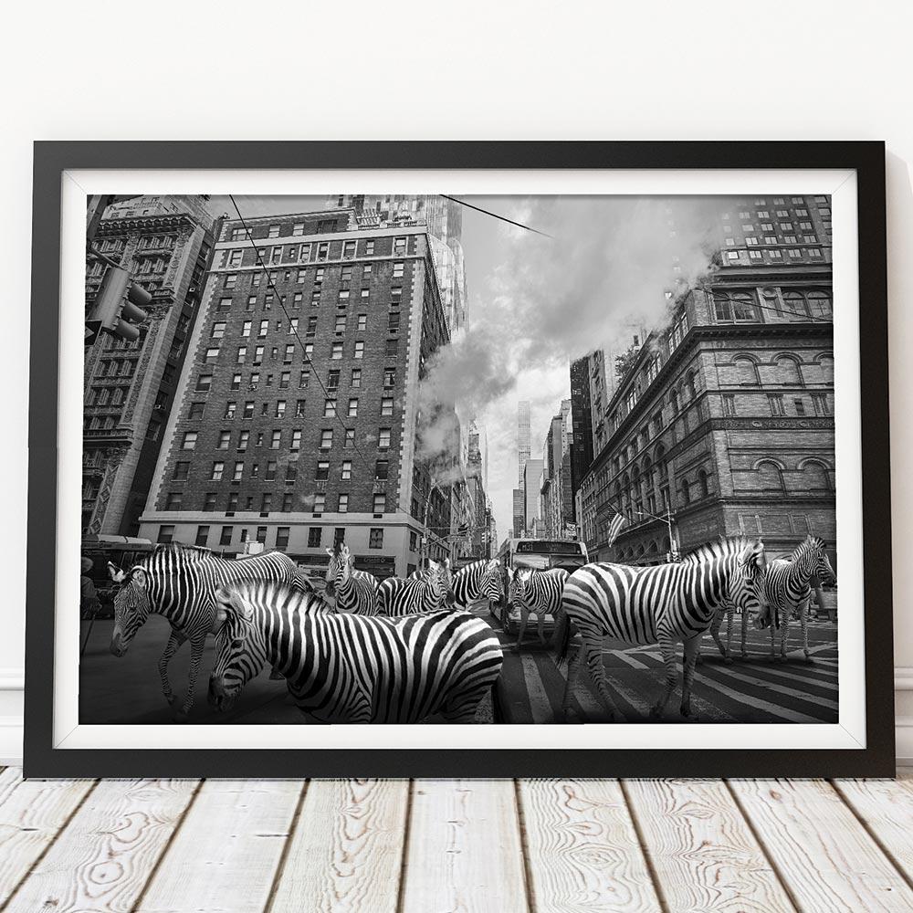 Animal Black and White Photography - Art Print - Gillie and Marc - Zebra Stripes For Sale 1