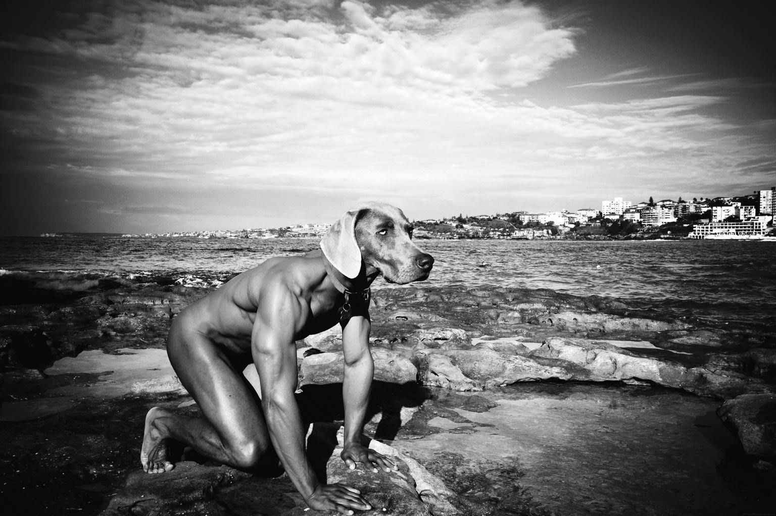 Photography Print - Male Nude - Art - Gillie and Marc - Dogman - Beach- Animals