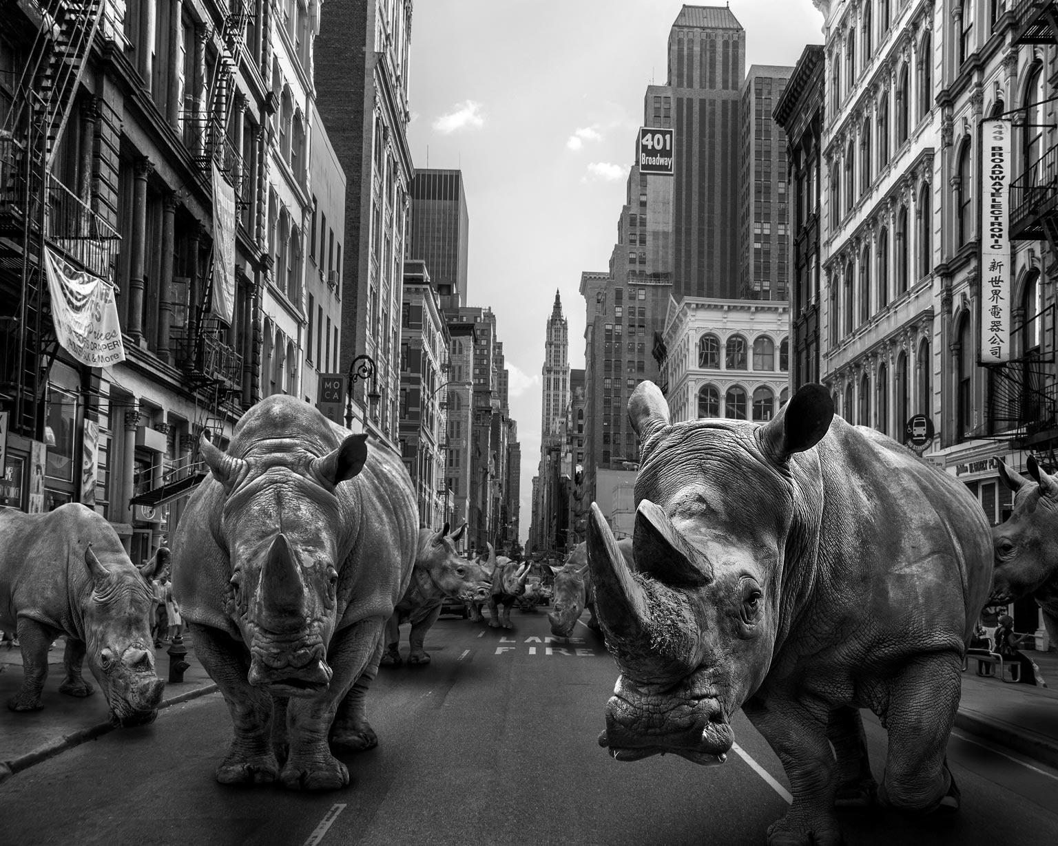 Limited Ed. Print Artwork titled ‘Rhinos at home in New York’ by Gillie and Marc - Photograph by Gillie and Marc Schattner