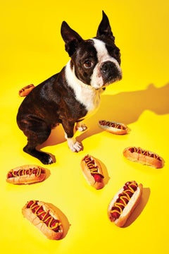 Photography Print - Pop Art - Bruce Boston Terrier with hot dogs