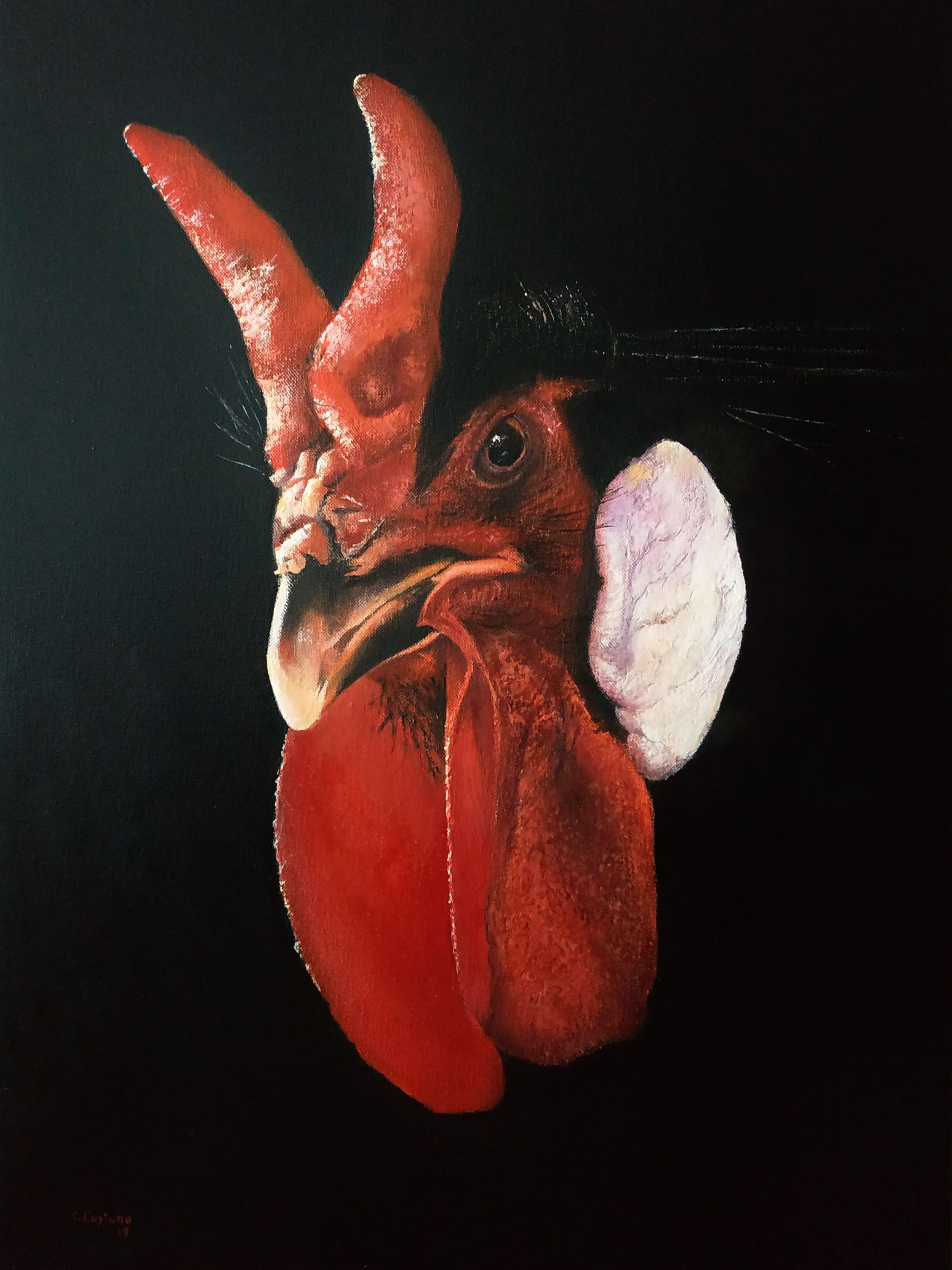 Exotic species of hen that is characterized by its crest in the form of horns. :: Painting :: Realism :: This piece comes with an official certificate of authenticity signed by the artist :: Ready to Hang: Yes :: Signed: Yes :: Signature Location: