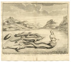 Mermaid and flying fish- Island of Boero by Valentijn - Engraving - 18th Century