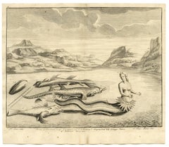 Antique Mermaid and flying fish- Island of Boero by Valentijn - Engraving - 18th Century