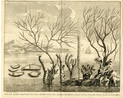Antique Water plants and coral near Indonesia by Valentijn - Engraving - 18th Century