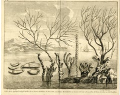 Water plants and coral near Indonesia by Valentijn - Engraving - 18th Century