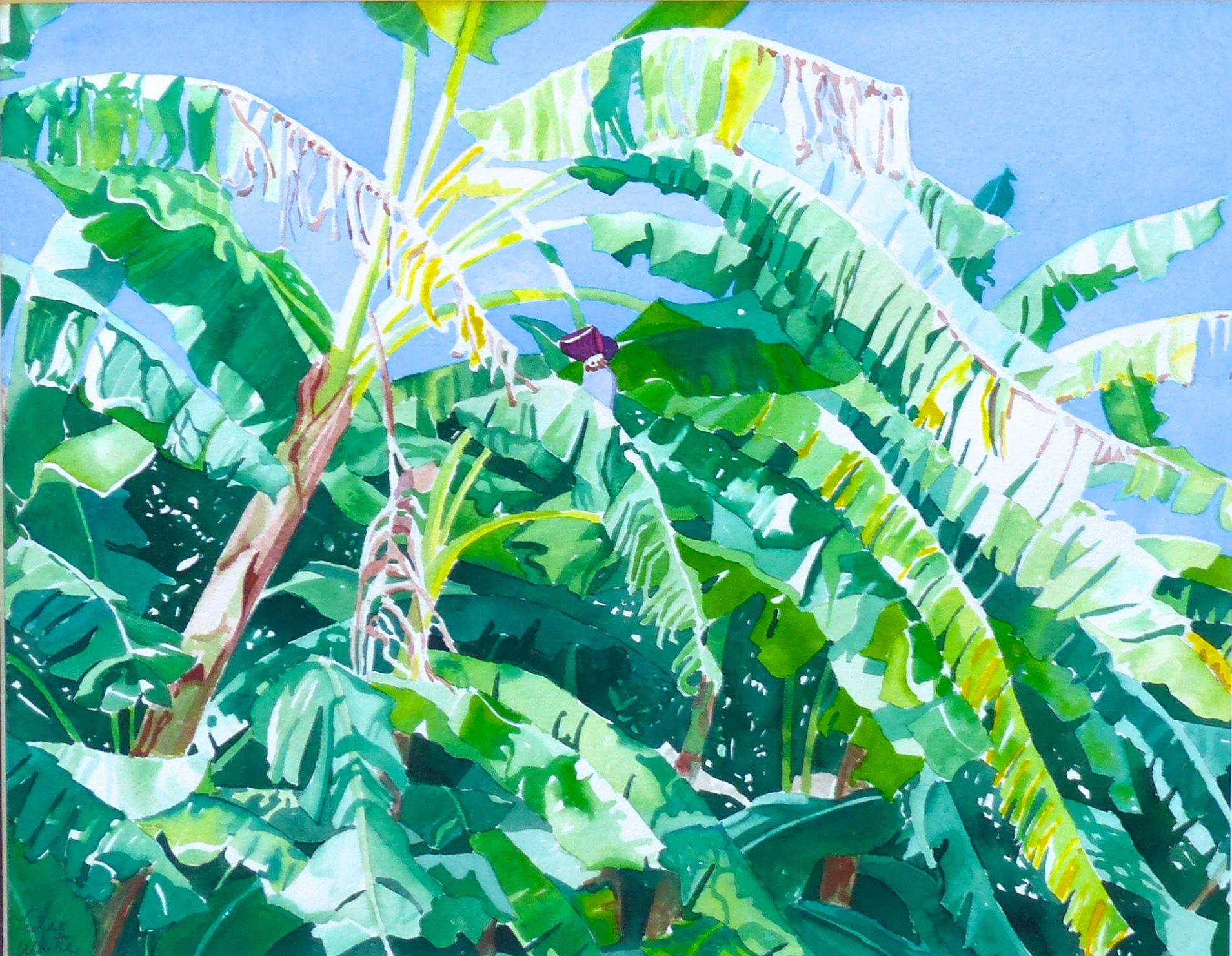 Peinture, aquarelle sur papier aquarelle Banana Trees - Art de Leslie White