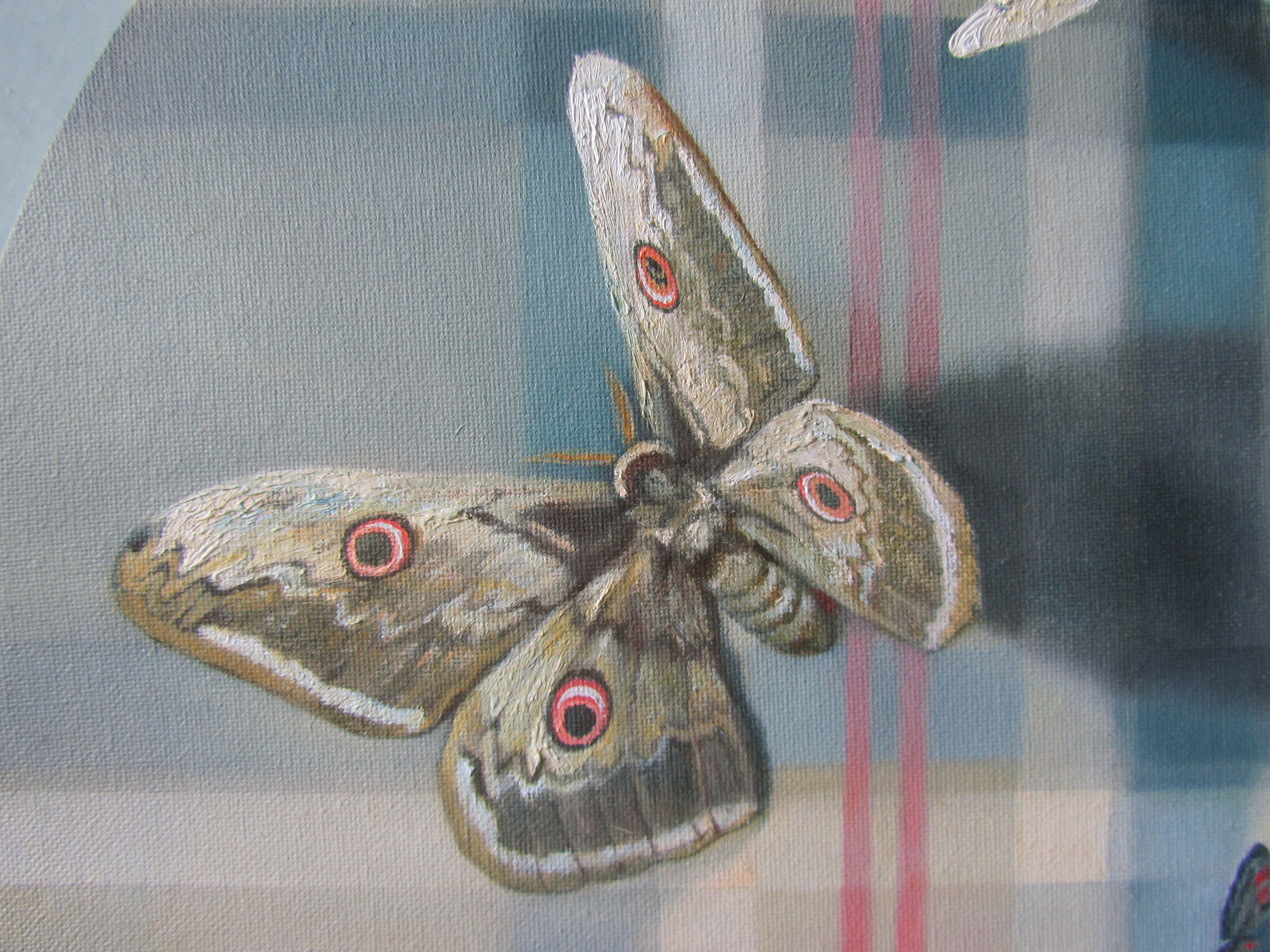 Butterflies on tartan pattern, Painting, Oil on Canvas 1