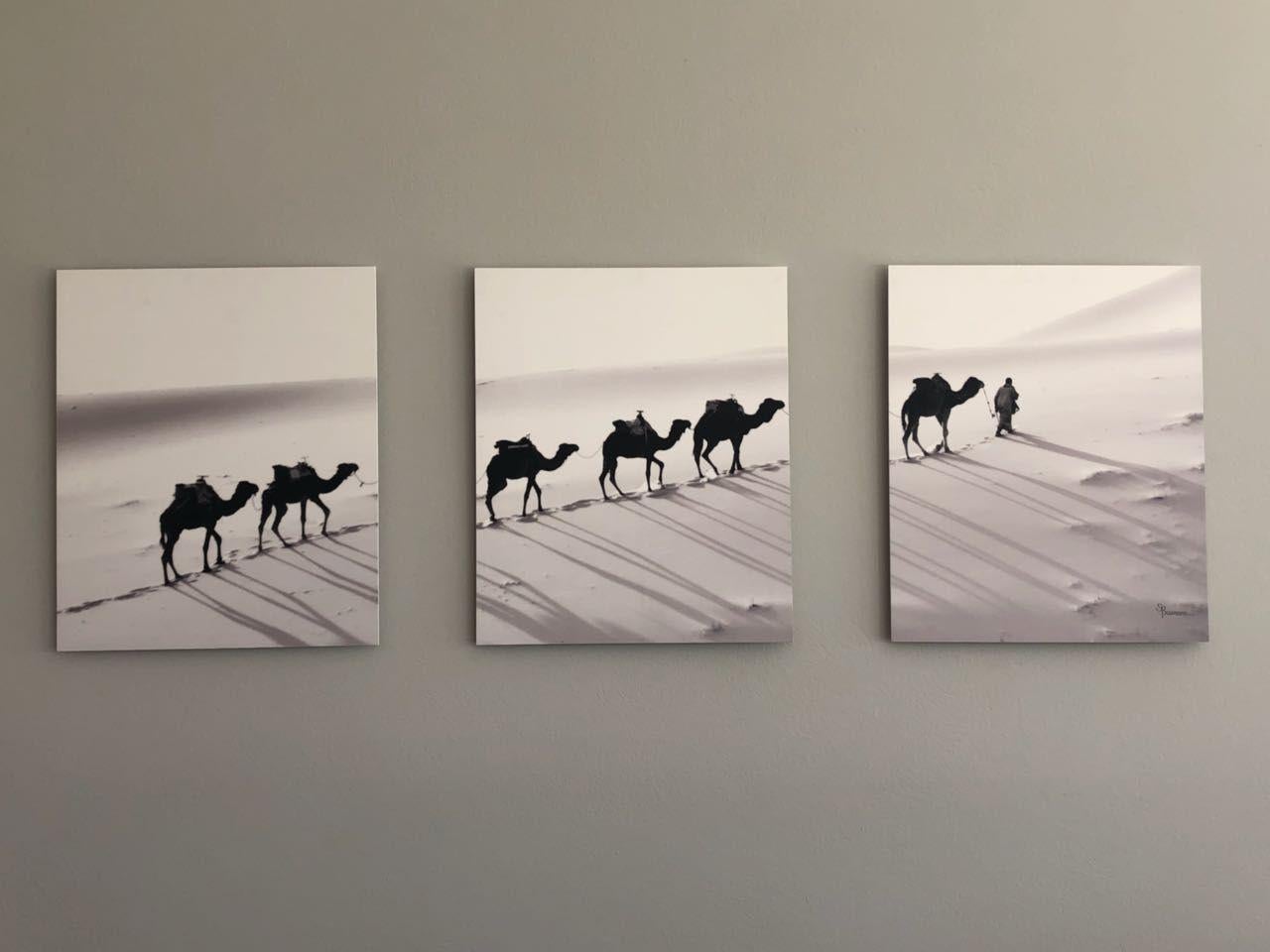 Sofia Barroso Black and White Photograph - Camel Route, Photograph, Archival Ink Jet