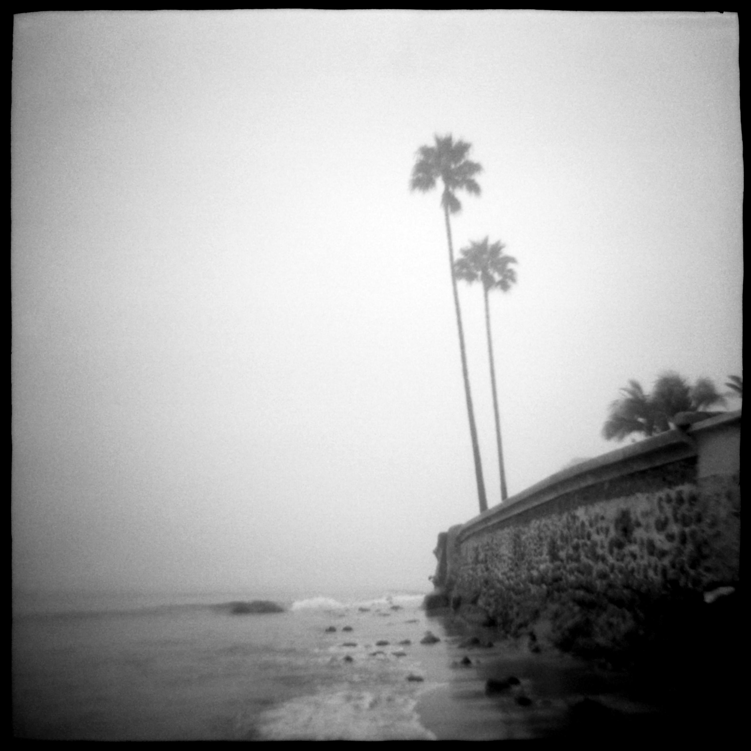 Daniel Grant Black and White Photograph - TWIN PALMS, Photograph, Archival Ink Jet