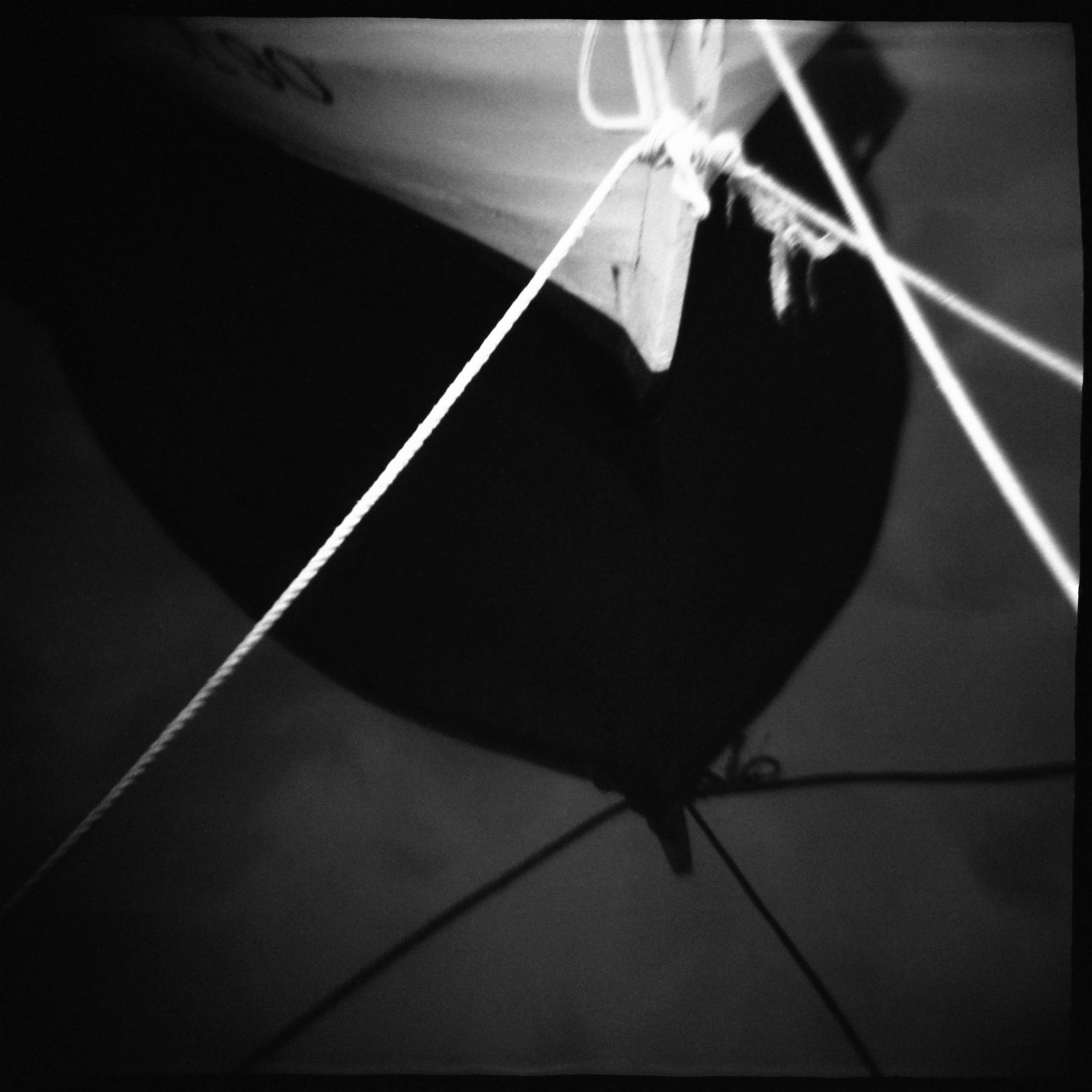 Black and White Photograph de Daniel Grant - NARCISSUS, Fotografía, Chorro de tinta de archivo