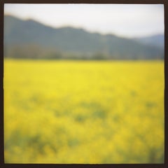 04 MUSTARD, fotografia, getto d'inchiostro d'archivio