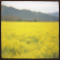 04 MUSTARD, Photograph, Archival Ink Jet