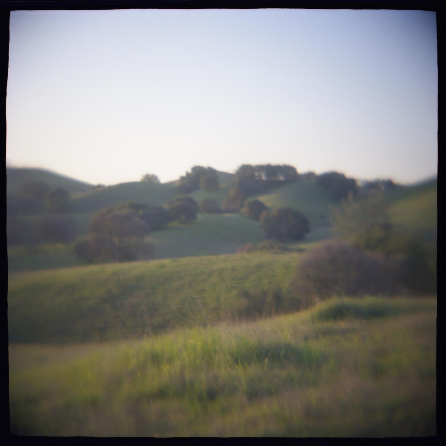 Color Photograph de Daniel Grant - 05 OAK HILLSIDE, Fotografía, Chorro de tinta de archivo