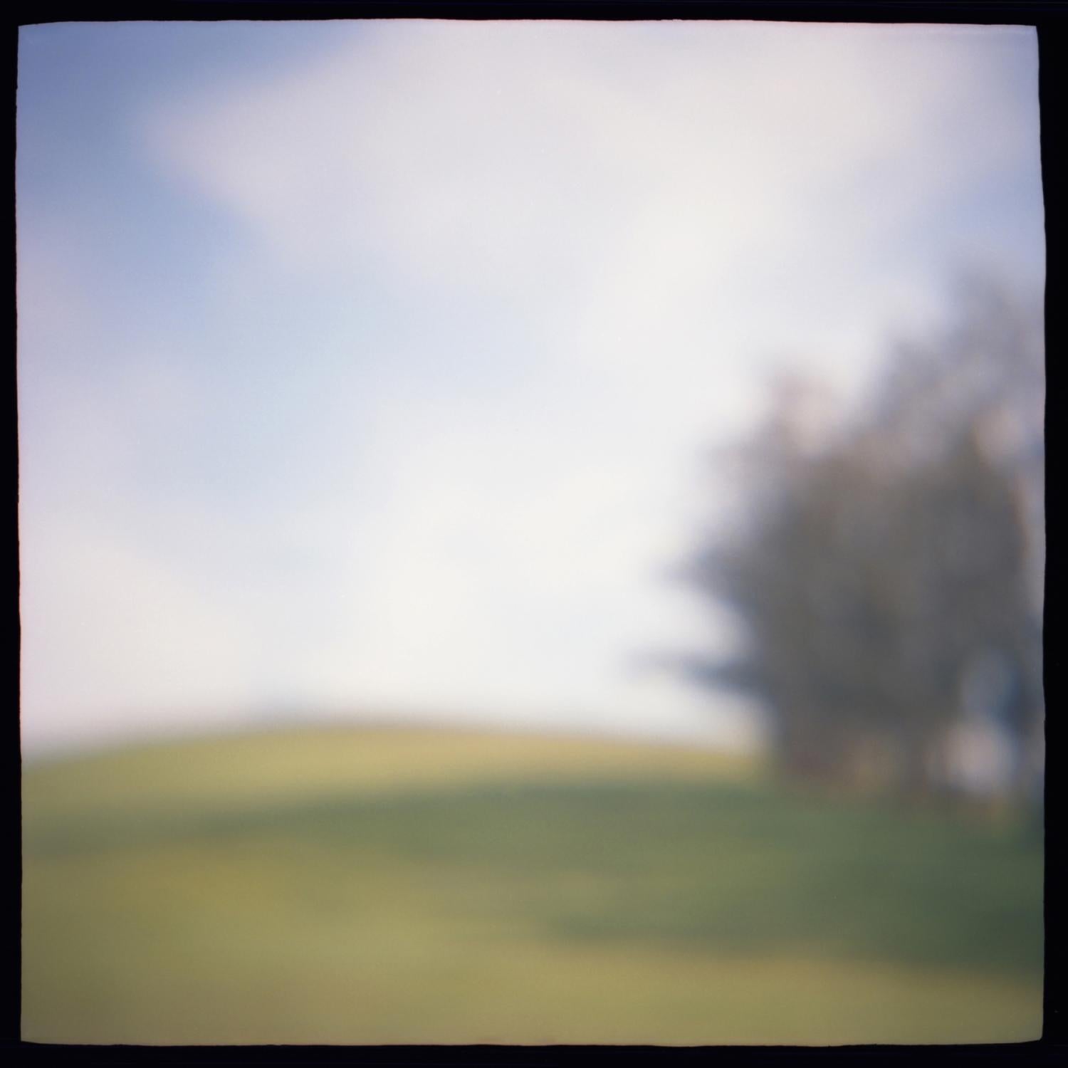 Daniel Grant Color Photograph - 06_MEADOW EDGE, Photograph, Archival Ink Jet